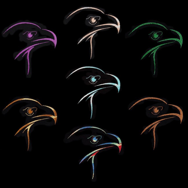 Eagle 1 Design - Endless Possibilities