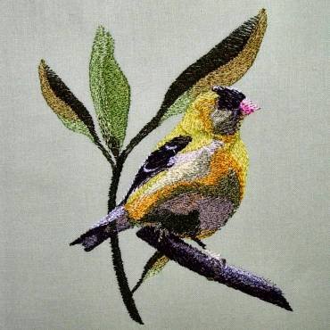 BFC0307 Small Birds