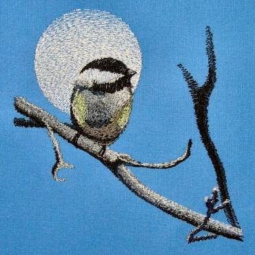 BFC0307 Small Birds