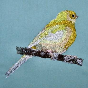 BFC0307 Small Birds