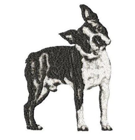 RMG3075 Boston Terrier 5 x 7