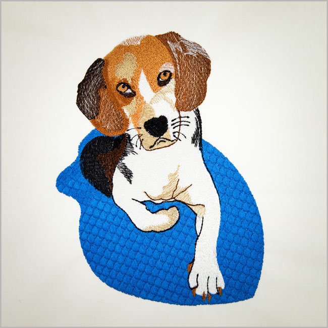 Beagle