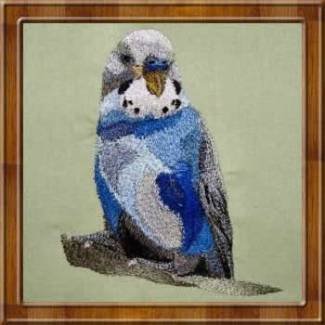 BFC0307 Small Birds