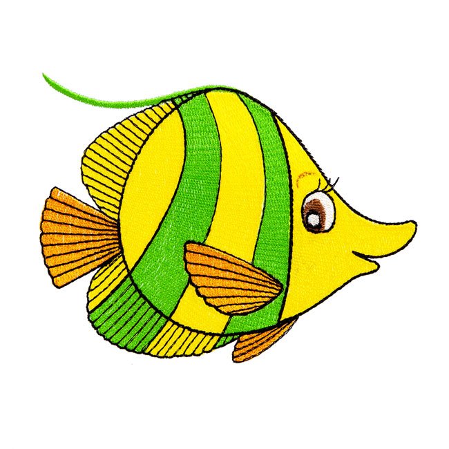 Angie Angel Fish