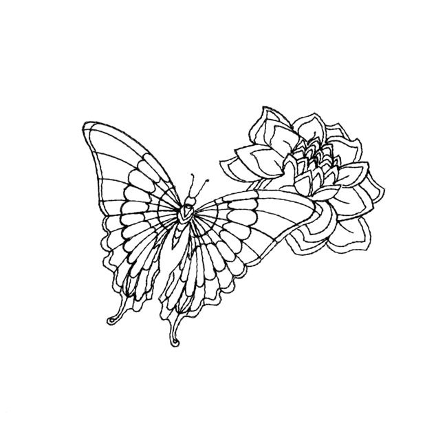 BFC1738 Creatures Great and Small