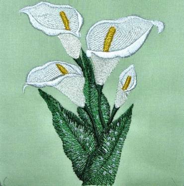 BFC0309 Calla Lilies