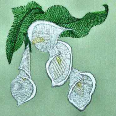 BFC0309 Calla Lilies
