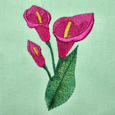 BFC0309 Calla Lilies
