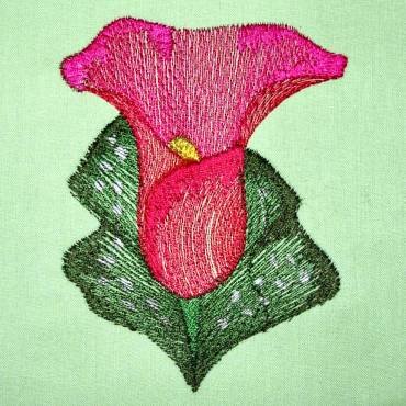 BFC0309 Calla Lilies