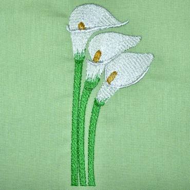 BFC0309 Calla Lilies