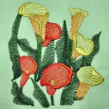 BFC0309 Calla Lilies