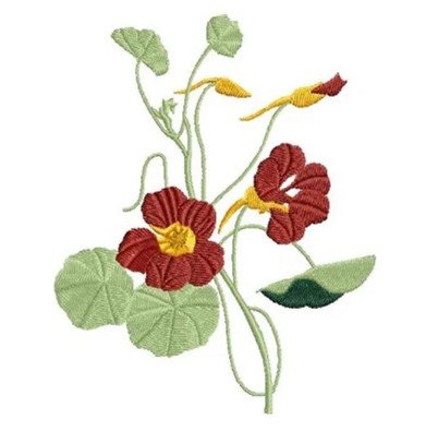 RMG3119 Vintage Floral