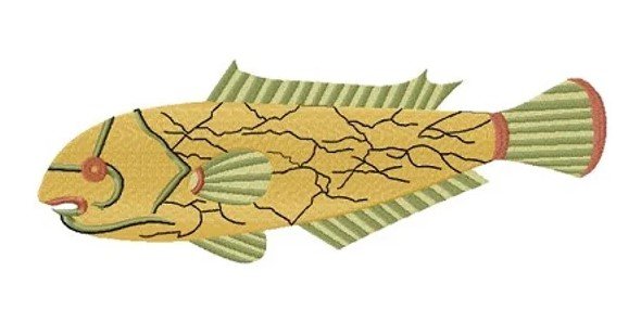 RMG3120 klip-visch plate 41