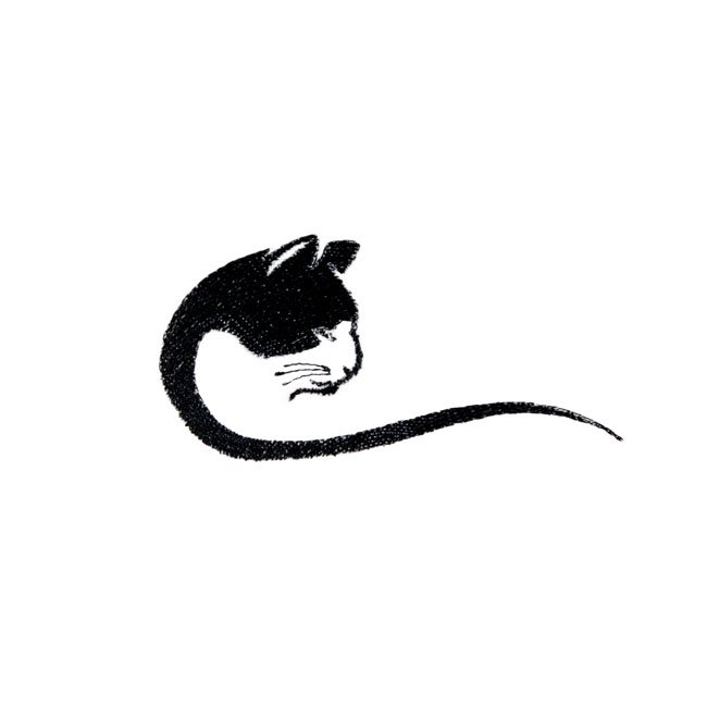 BFC31279 White Faced Cat