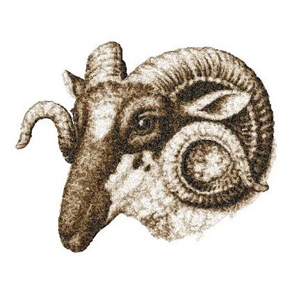 RMG3132 Ram 2