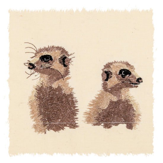 BFC31325 Meerkat Pocket Topper