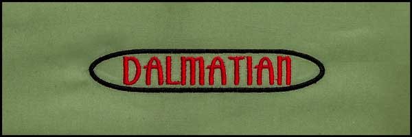 BFC31394 Dalmatian