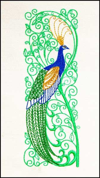 Stately Peacock