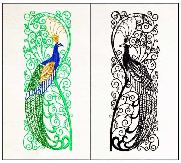 Stately Peacock