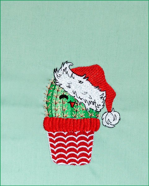Christmas Cactus 2