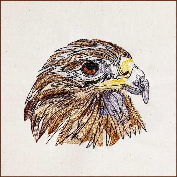 Eagle Sketch