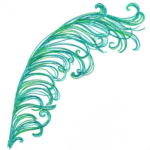 Variegated Feather