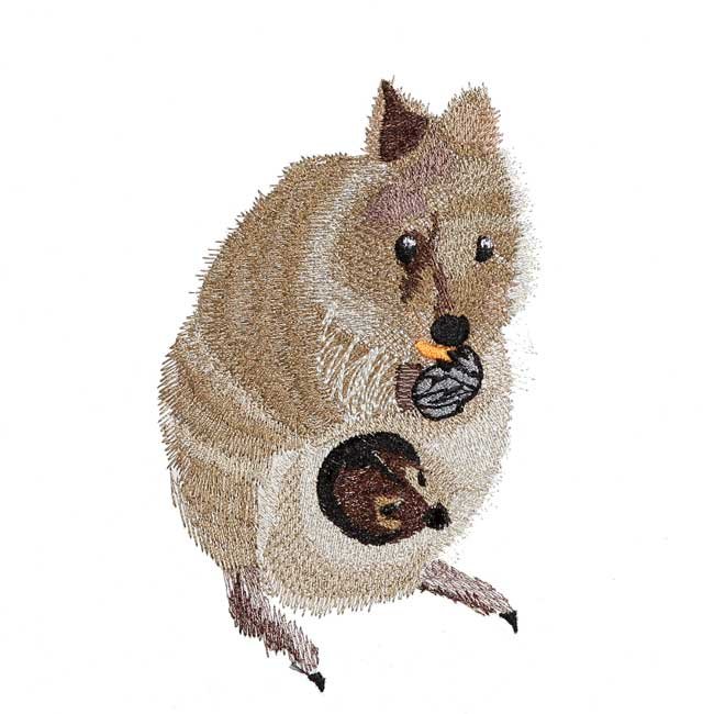 BFC31577 Quokka Mama and Baby
