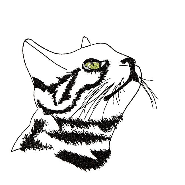 BFC31603 Bronko Billy in Outline
