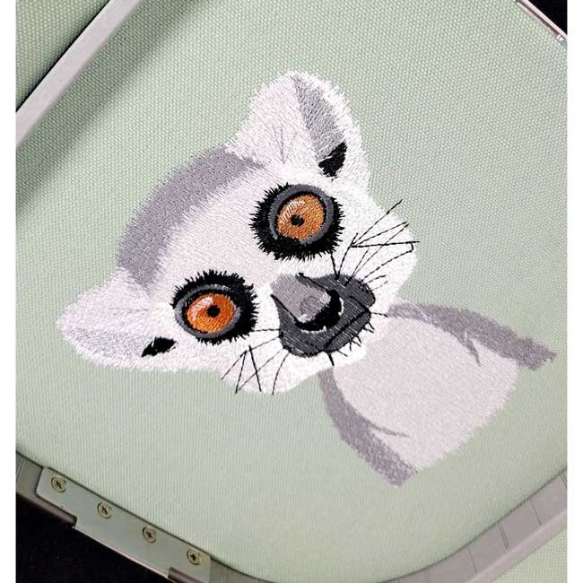 BFC31612 Curious Lemur