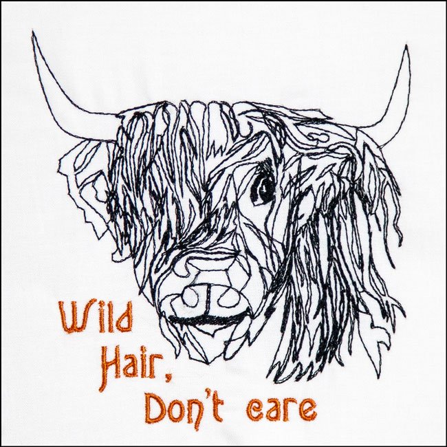 BFC31616 The Scottish Highland Bull