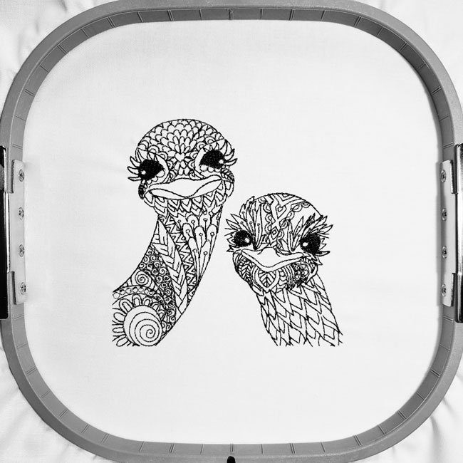 BFC31623 Embellished Ostriches