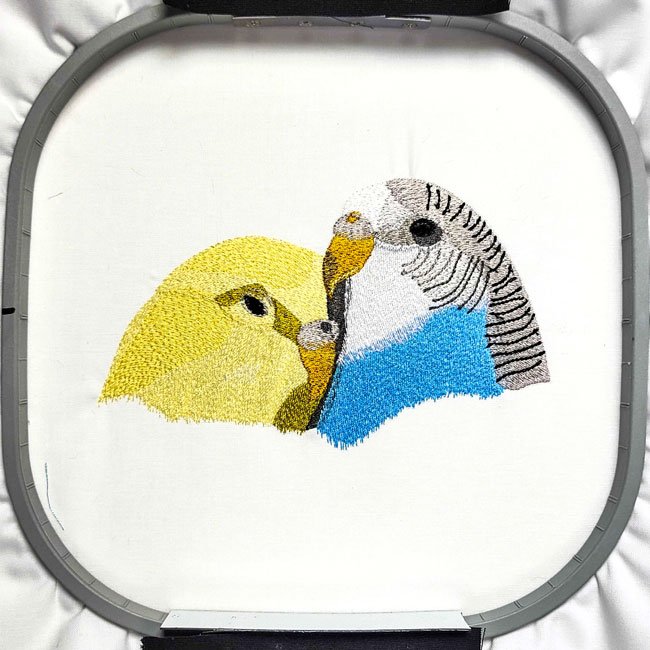 BFC31626 Parakeet Love