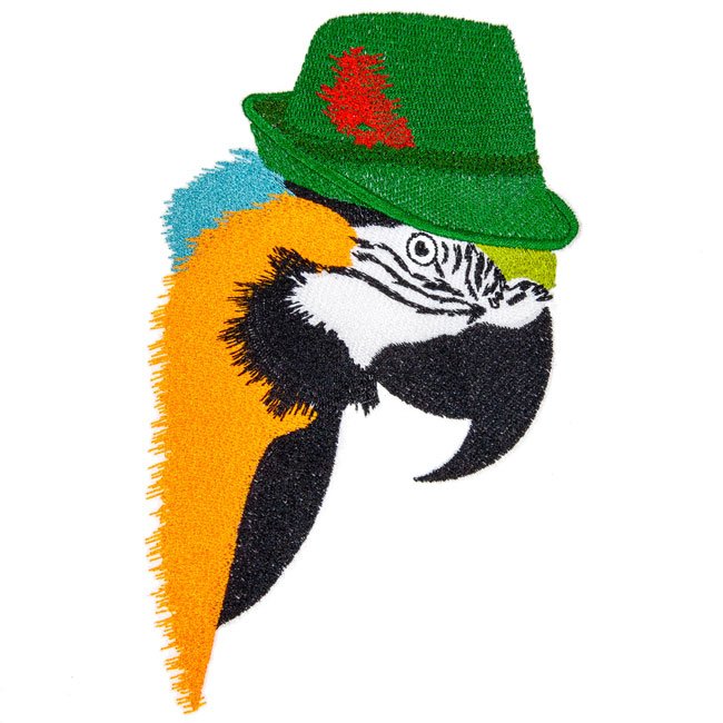 BFC31655 Dapper Macaw