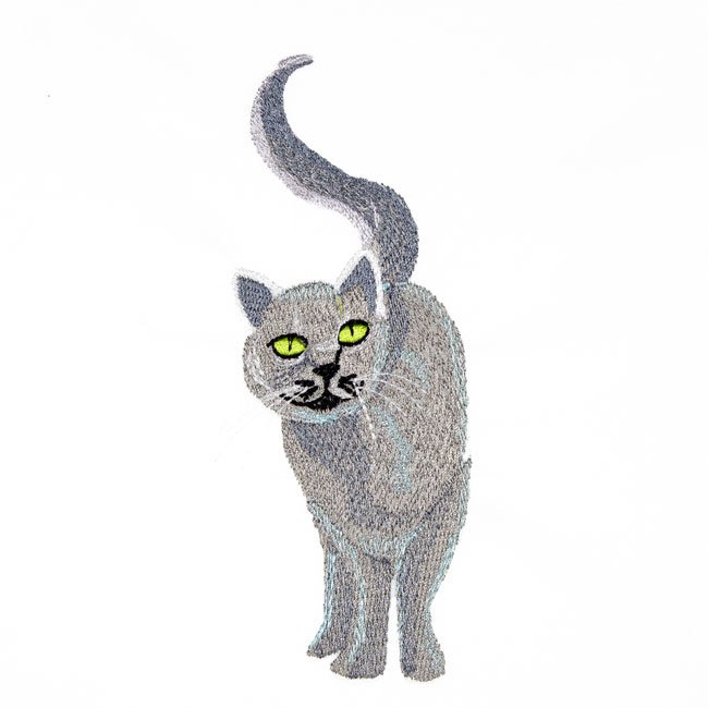 BFC31668 Delights Pals - Cat