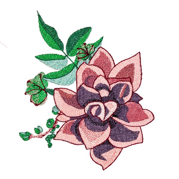 BFC31752 Succulent Beauty
