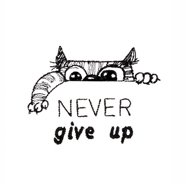 BFC31782 Never Give up!
