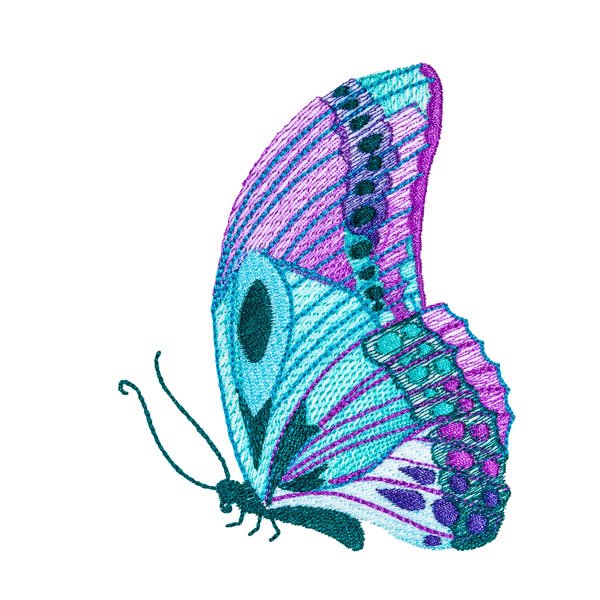 BFC31812 19th Anniversary Butterfly 2