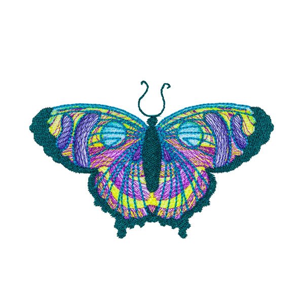 BFC31813 19th Anniversary Butterfly 3