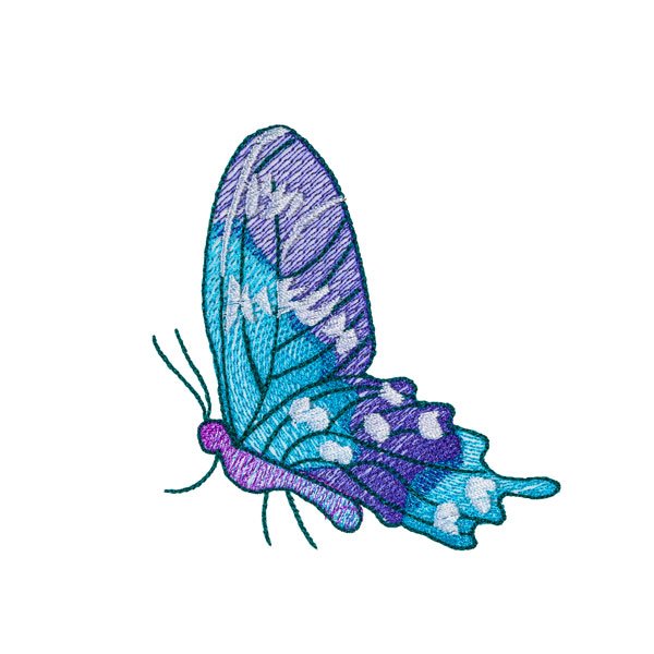 BFC31815 19th Anniversary Butterfly 5