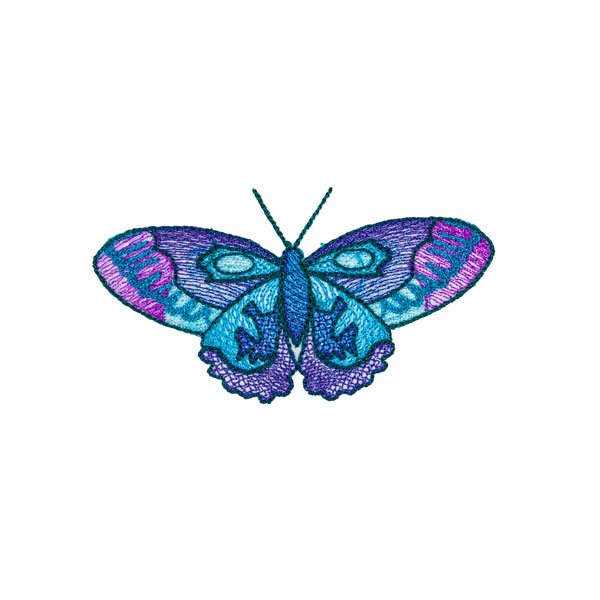 BFC31820 19th Anniversary Butterfly 10