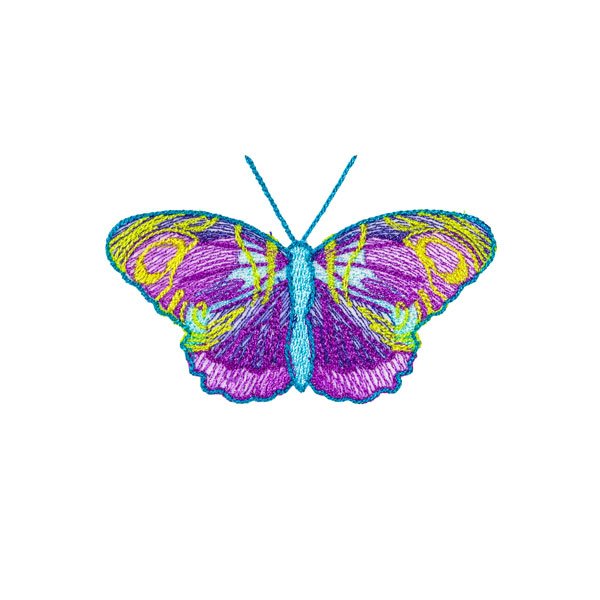 BFC31822 19th Anniversary Butterfly 12