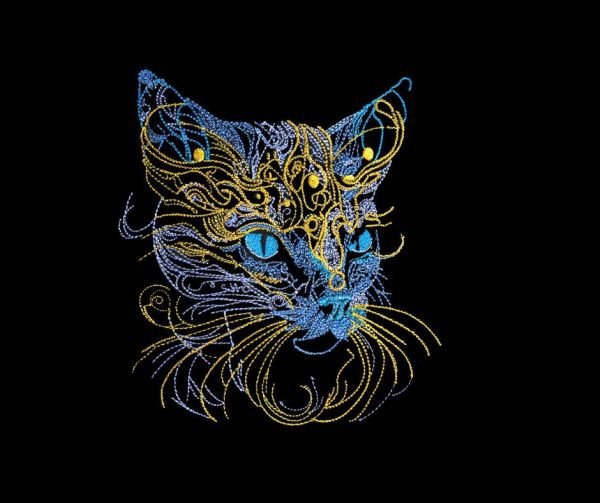 BFC31860  Intense Feline Stare