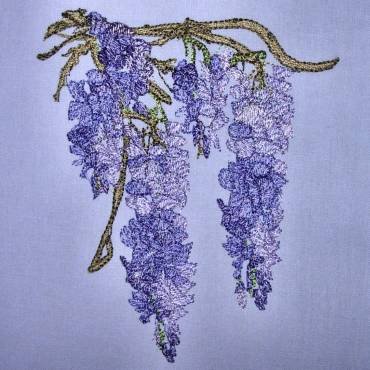 BFC0319 Watercolor Wisteria