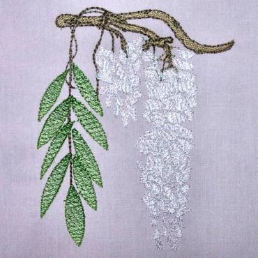 BFC0319 Watercolor Wisteria