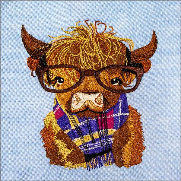 BFC31972 Highland Cattle Student