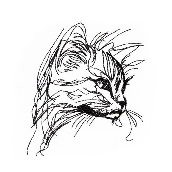 BFC31975 Cat on Alert