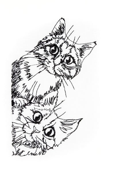 BFC31976 Cats Checking Things Out