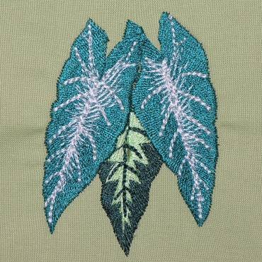 BFC0323 Caladiums
