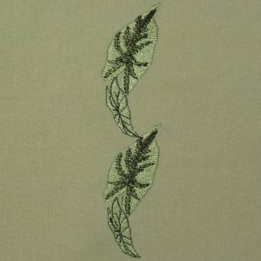 BFC0323 Caladiums
