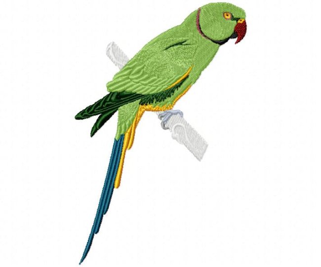RMG325 Parakeet